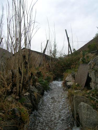 Fotos mas valoradas » Foto de Sin Nombre - Galería: Valle del elqui - Fotografía: riego