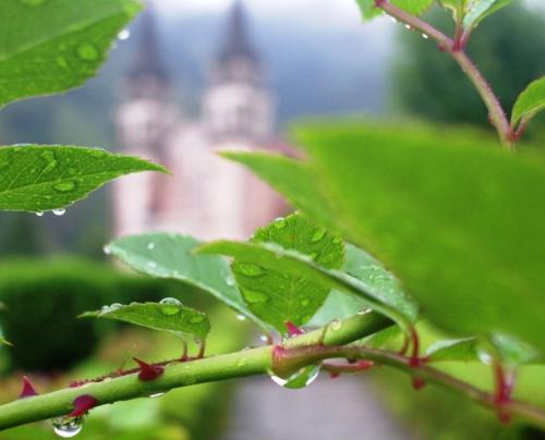 Fotos menos valoradas » Foto de willchebat - Galería: Cantabria - Fotografía: Agua en Covadonga