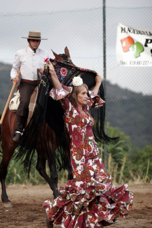 Fotografías menos votadas » Autor: Ral Blangette Avalle - Galería: Caballos - Fotografía: 