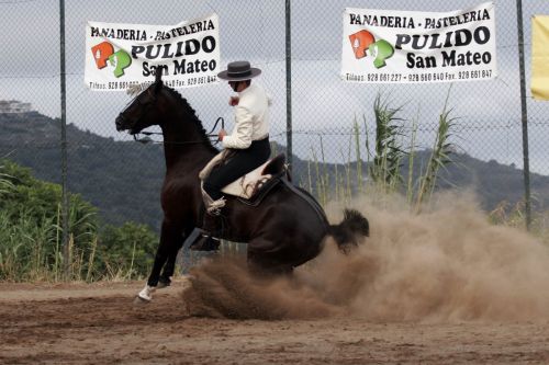 Fotografías menos votadas » Autor: Ral Blangette Avalle - Galería: Caballos - Fotografía: 