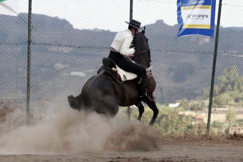 Fotografías menos votadas » Autor: Ral Blangette Avalle - Galería: Caballos - Fotografía: 