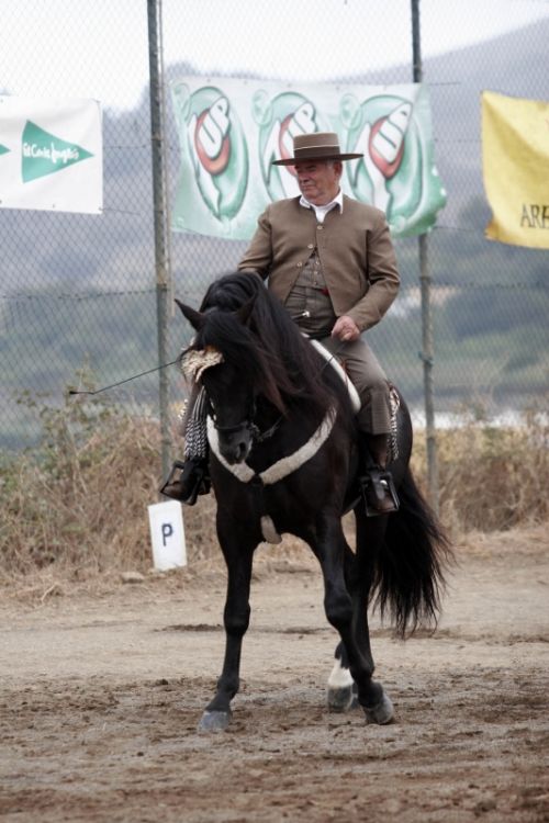 Fotografías menos votadas » Autor: Ral Blangette Avalle - Galería: Caballos - Fotografía: 