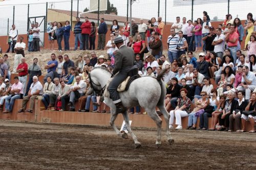 Fotografías menos votadas » Autor: Ral Blangette Avalle - Galería: Caballos - Fotografía: 