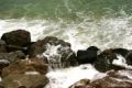 Foto galera: Badalona es de Mar
