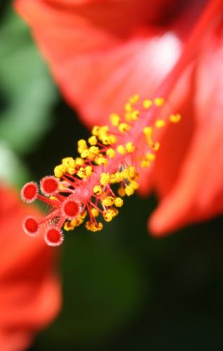 Fotos menos valoradas » Foto de LLUIS - Galería: CIUDADES - Fotografía: FLORA								