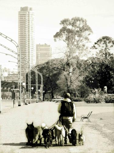 Fotos menos valoradas » Foto de Roberto Azcona - Galería: Ciudades - Fotografía: Paseador