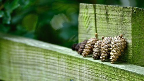 Fotografías menos votadas » Autor: Pablo Barreda Reyes - Fotgrafo - Galería: Mi trabajo - Fotografía: 