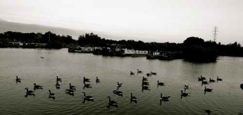 Fotografías menos votadas » Autor: Pablo Barreda Reyes - Fotgrafo - Galería: Mi trabajo - Fotografía: 