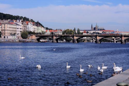 Fotografías menos votadas » Autor: diego - Galería: Praga - Fotografía: Cisnes sobre el Mo