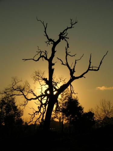 Fotografías menos votadas » Autor: Sin Nombre - Galería: Atardeceres - Fotografía: siguiendo la luz