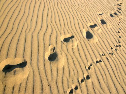 Fotos mas valoradas » Foto de www.andalucine.com - Galería: Andalucia - Fotografía: Paseo por la duna