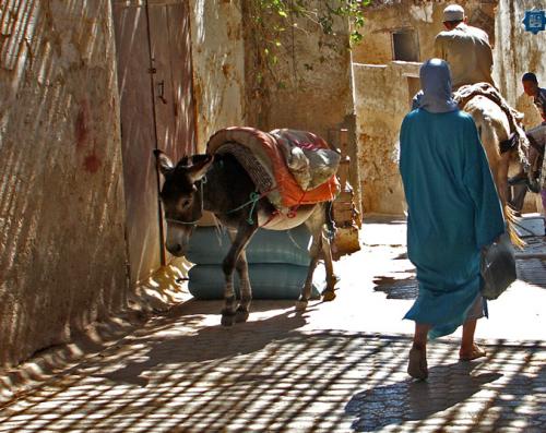 Fotografías menos votadas » Autor: Raul  Drehsel - Galería: Marruecos - Fotografía: 