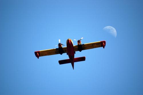 Fotografías menos votadas » Autor: Sin Nombre - Galería: VARIAS - Fotografía: VOLANDO VOY