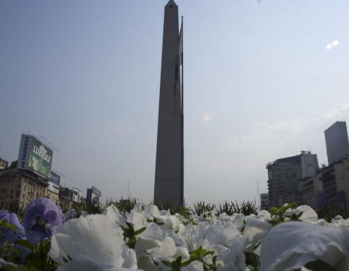 Fotografías menos votadas » Autor: Dario - Galería: desde aca - Fotografía: flores y obelisco