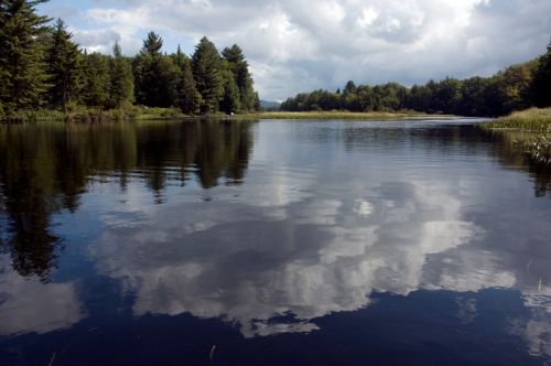 Fotos mas valoradas » Foto de David Bru - Galería: Moose River - Fotografía: 