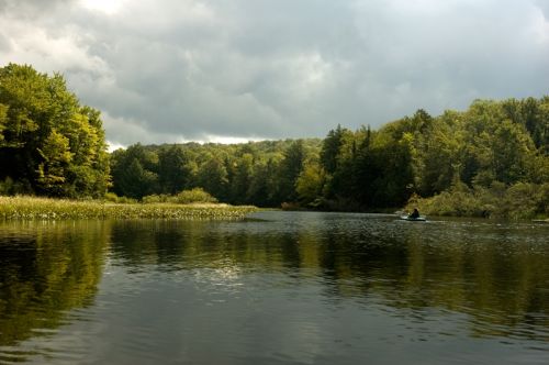 Fotos menos valoradas » Foto de David Bru - Galería: Moose River - Fotografía: 