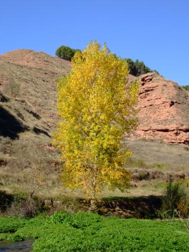 Fotografías menos votadas » Autor: Ivn - Galería: Naturaleza - Fotografía: 