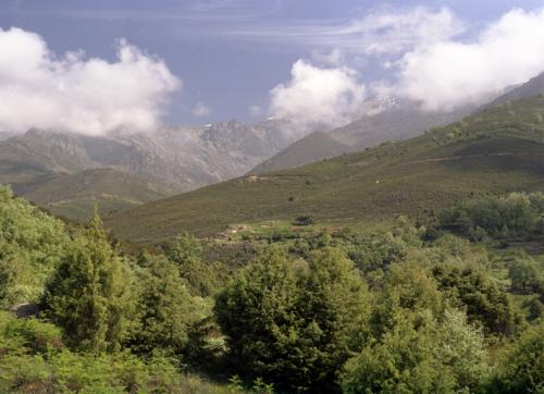 Fotos mas valoradas » Foto de Imagen Dirk Borms - Galería: Extremadura Verde - Fotografía: Madrigal de la Ver