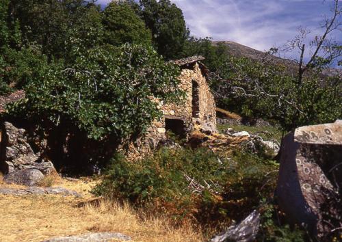 Fotos menos valoradas » Foto de Imagen Dirk Borms - Galería: Extremadura Verde - Fotografía: Casa del Campo