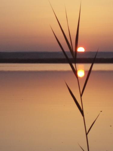 Fotos menos valoradas » Foto de quim Estadella - Galería: que bello es el otoo - Fotografía: Nace un nuevo dia