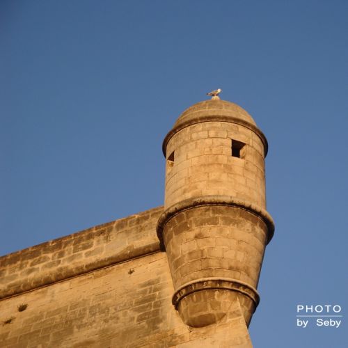 Fotografías menos votadas » Autor: Seby - Galería: Landscape - Fotografía: El Vigilante