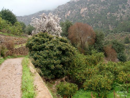 Fotografías menos votadas » Autor: Seby - Galería: Landscape - Fotografía: Biniaraix II