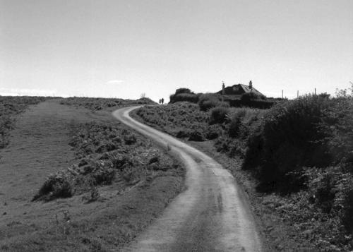 Fotografías menos votadas » Autor: Sin Nombre - Galería: Gower, Wales - Fotografía: 