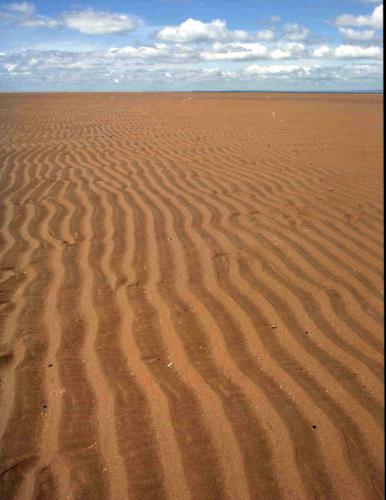 Fotografías menos votadas » Autor: Sin Nombre - Galería: Gower, Wales - Fotografía: 