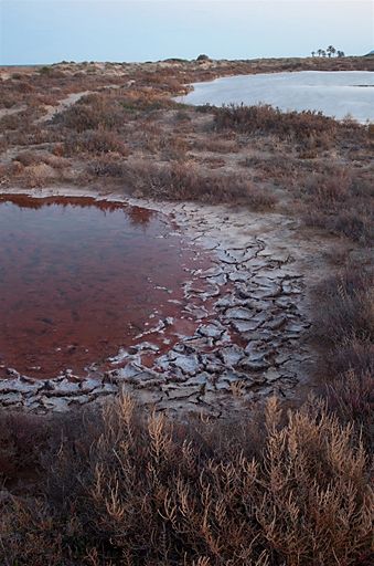 Fotografías menos votadas » Autor: Juan Jimnez Montero - Galería: El litoral de La Regin de Murcia - Fotografía: Salinas de San Ped