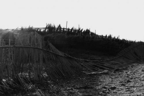 Fotos mas valoradas » Foto de Fotografiaweb.com - Galería: L`Albufera - Fotografía: Dunas