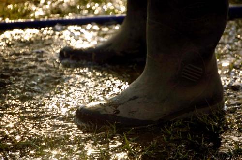 Fotografías menos votadas » Autor: Sin Nombre - Galería: Artisticas - Fotografía: Botas