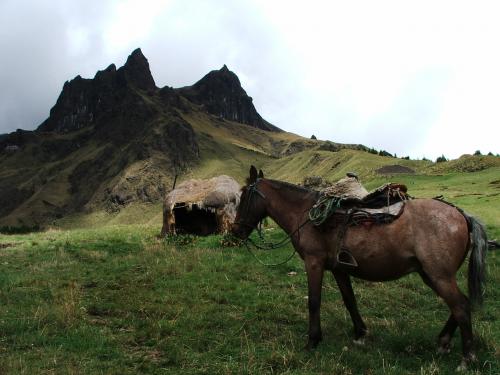 Fotos menos valoradas » Foto de foto arte - Galería: COMTEMPORANEIDAD - Fotografía: AL PIE DEL PARAMO