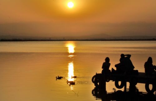 Fotografías menos votadas » Autor: lekeleke - Galería: ALBUFERA - Fotografía: 